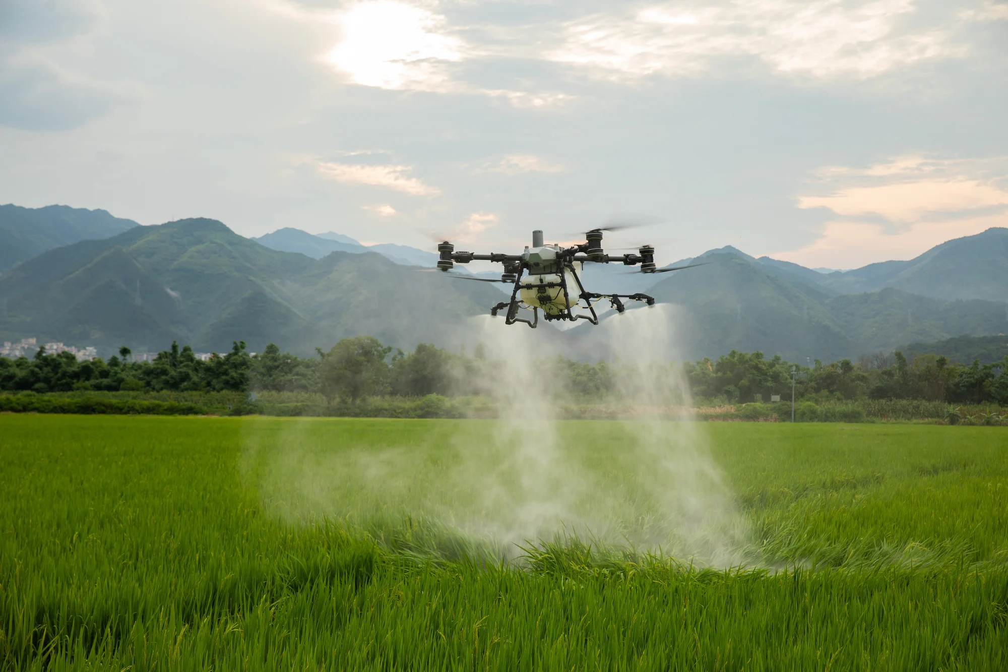Agricultural spray drone flying low above crop rows